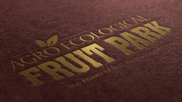 PitchWorx -creative design agency